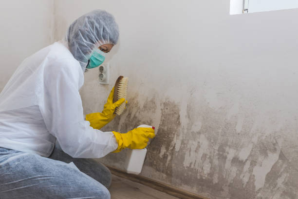 Best Residential Mold Removal  in Newport, WA