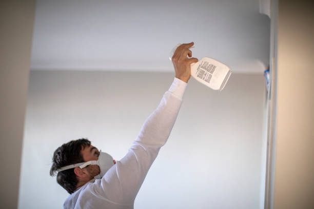 Best Mold Remediation  in Newport, WA