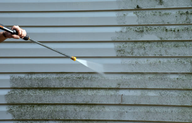 Best Commercial Mold Removal  in Newport, WA