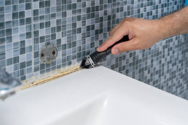Best Affordable Mold Removal  in Newport, WA