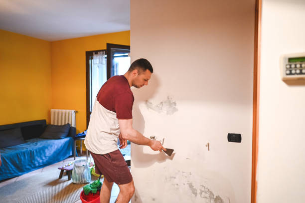 Best Mold Removal Near Me  in Newport, WA